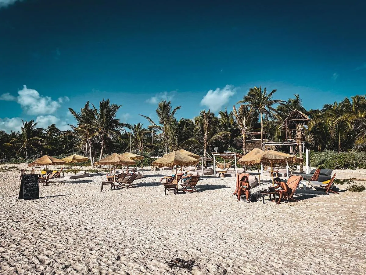 Orchid House Tulum Beach (Adults Only) Hotel