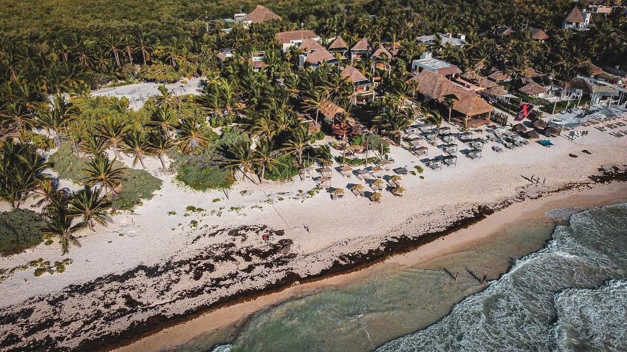 Orchid House Tulum Beach (Adults Only)